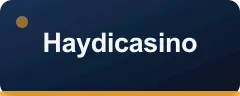 Haydicasino logo