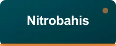 Nitrobahis logo