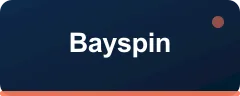 Bayspin logo